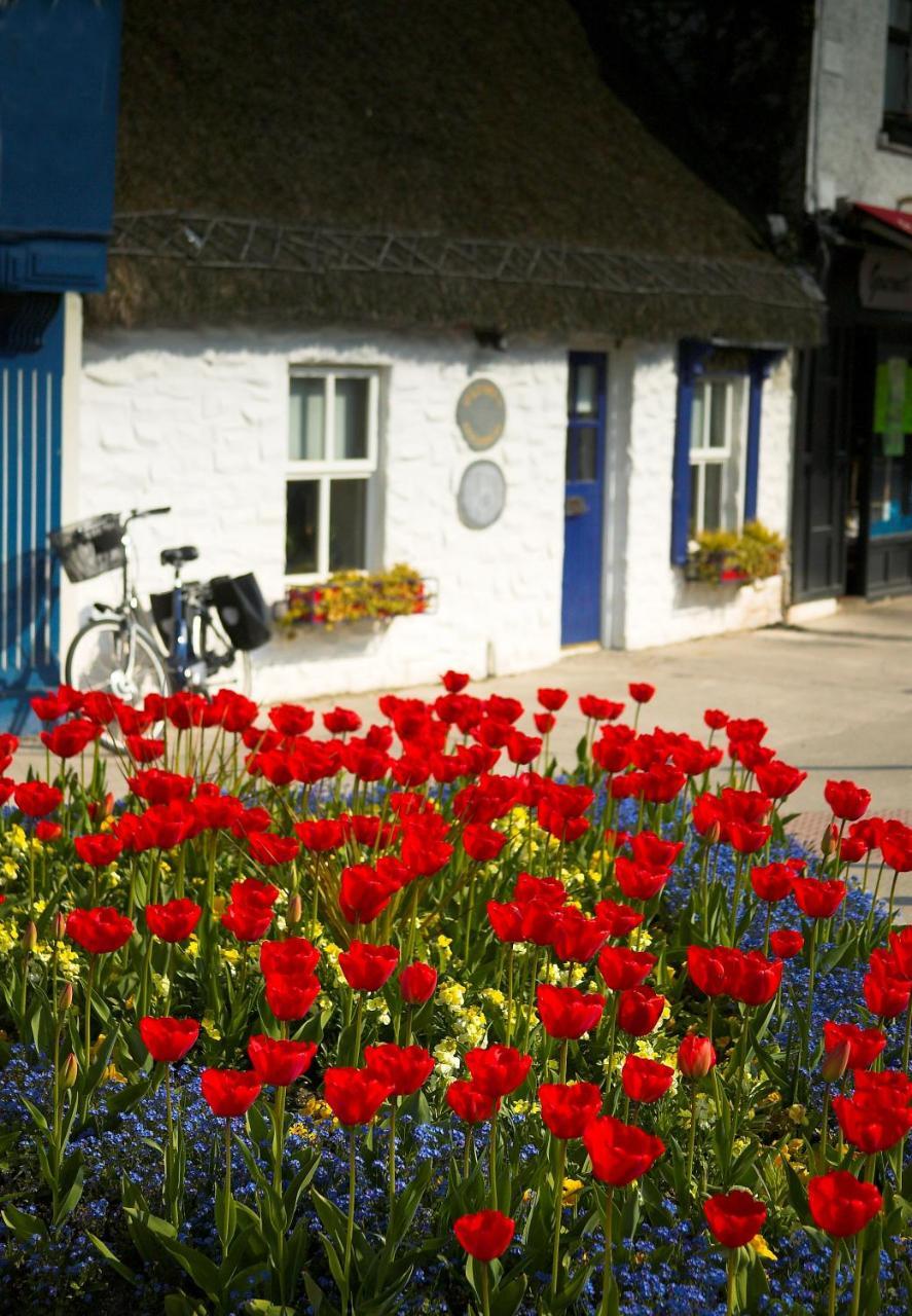 The Redbank Guesthouse Skerries Exterior photo